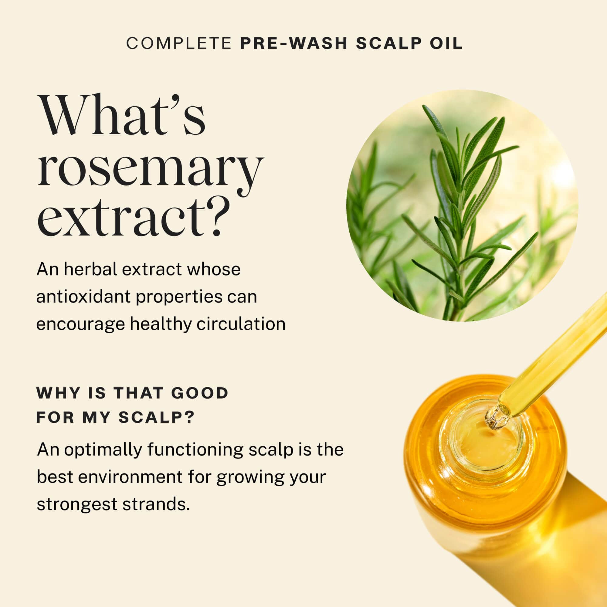 Complete Pre-Wash Scalp Oil - Image 8