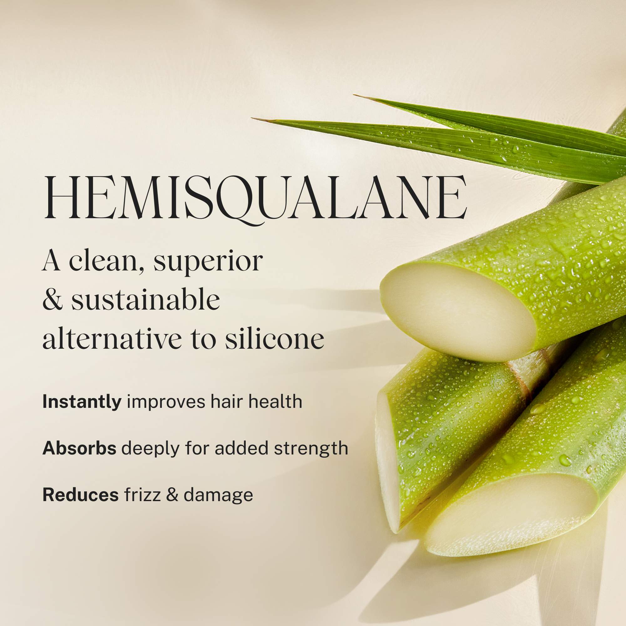 Nurture Hydrating Shampoo - Image 7